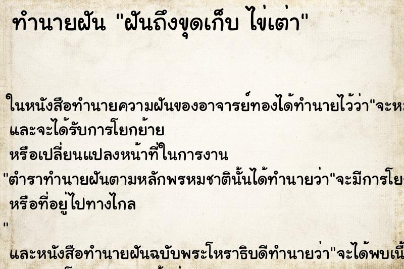 ทำนายฝันฝันถึงขุดเก็บไข่เต่า ทำนายฝันทำนายฝันฝันถึงขุดเก็บไข่เต่า